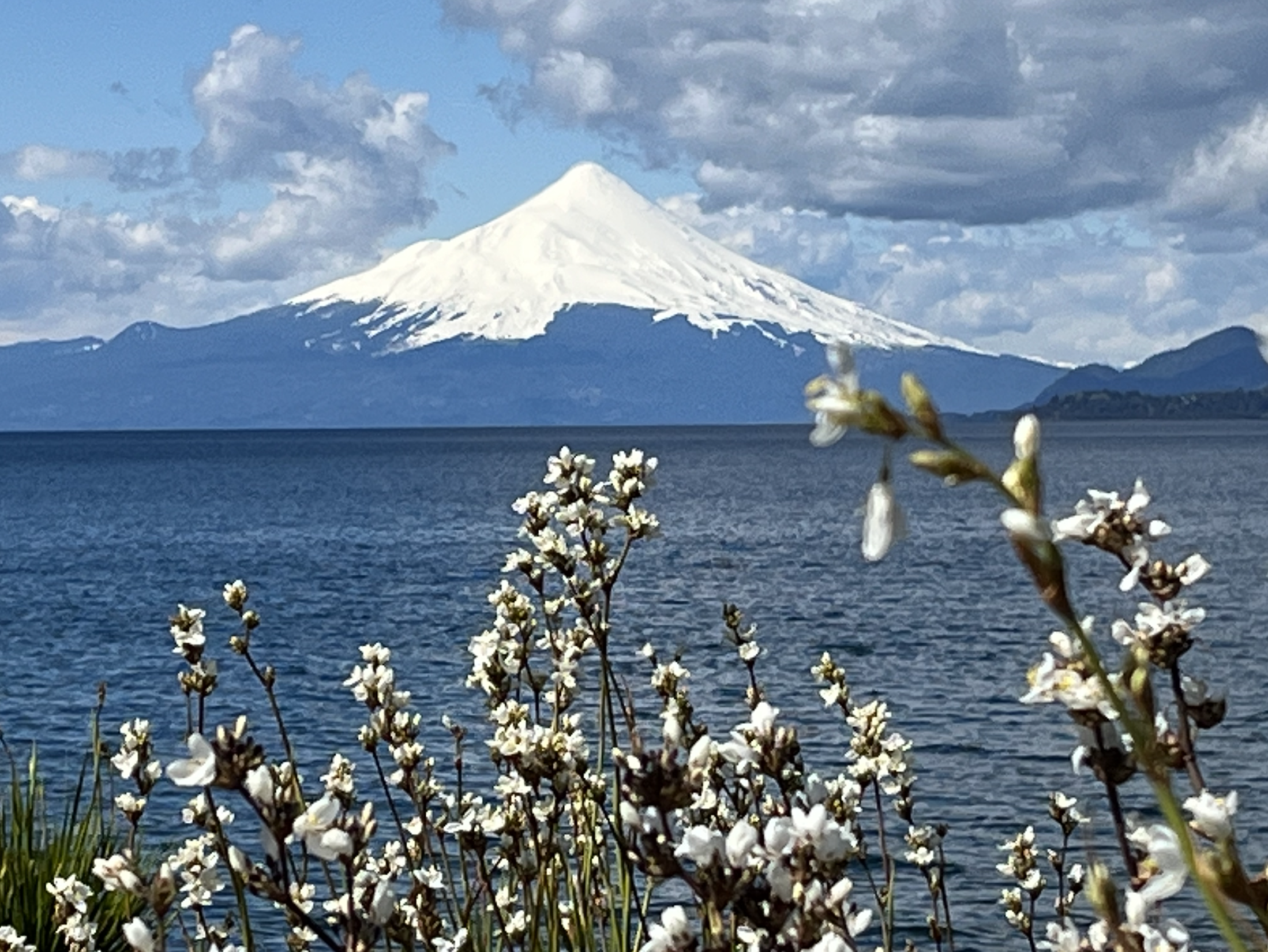 Course with Certification in Psychology of Consciousness with Emphasis in Non-Duality.